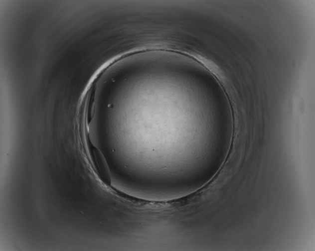 X0000085060912200703051436