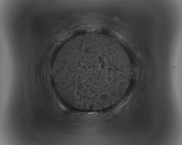 X0000085060913200703051435