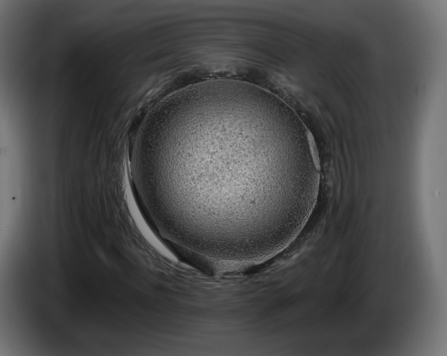 X0000085060916200703051435