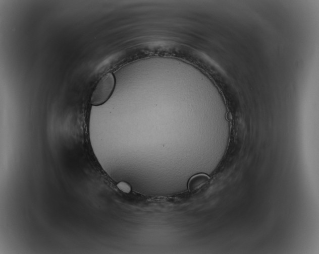 X0000085060918200703051435