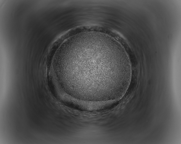 X0000085060919200703051435