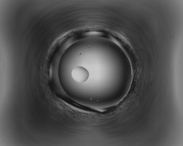 X0000085060920200703051435