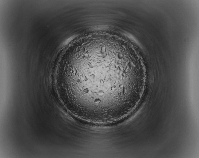 X0000085060921200703051435