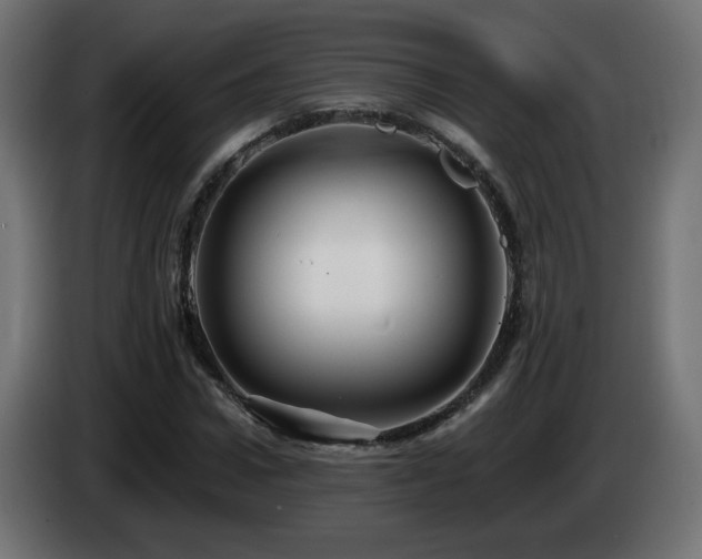 X0000085060922200703051435