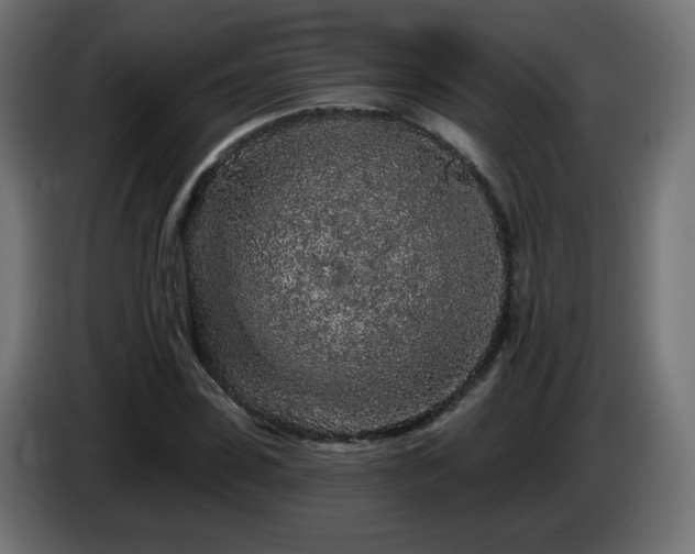 X0000085060923200703051435