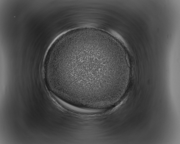X0000085060924200703051436