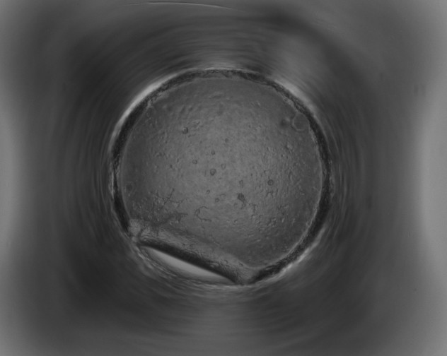 X0000085060925200703051436