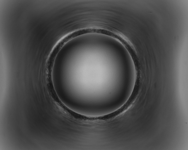 X0000085060926200703051436