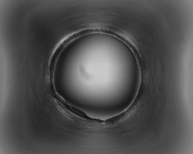 X0000085060927200703051436