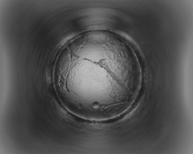 X0000085060929200703051436
