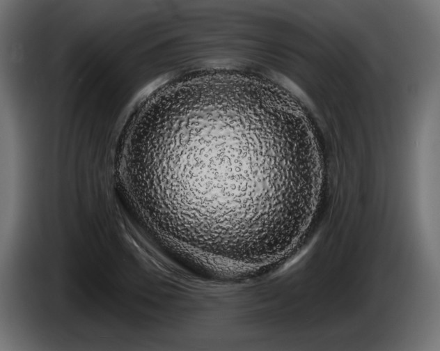 X0000085060930200703051436