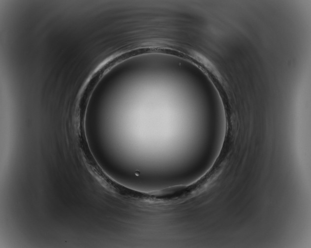 X0000085060931200703051436