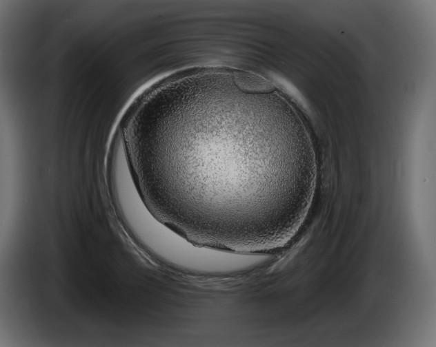 X0000085060932200703051436