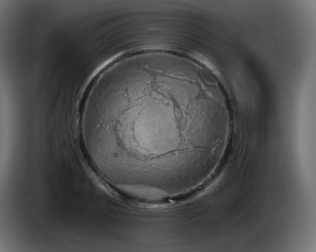 X0000085060933200703051436