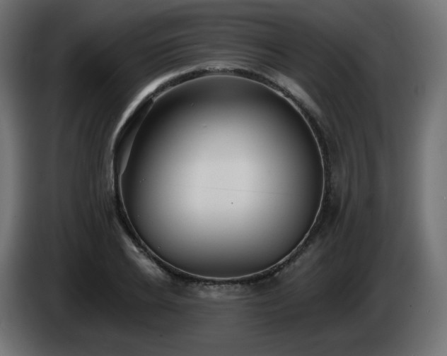 X0000085060934200703051436