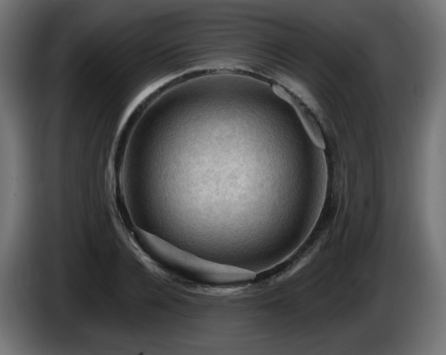 X0000085060936200703051436