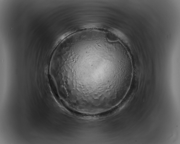 X0000085060937200703051436