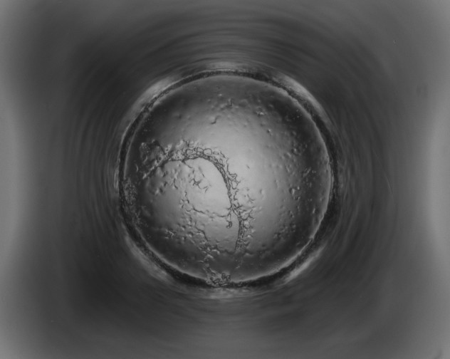 X0000085060938200703051436