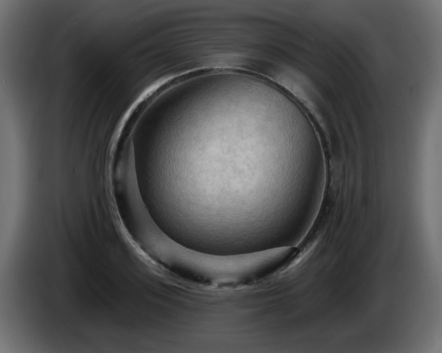 X0000085060939200703051436