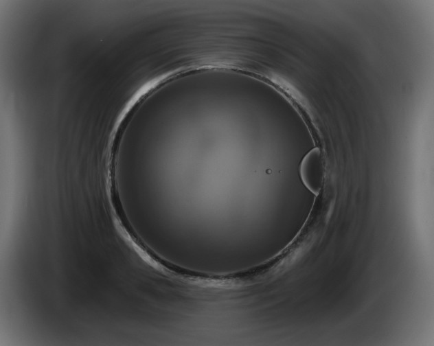 X0000085060941200703051436
