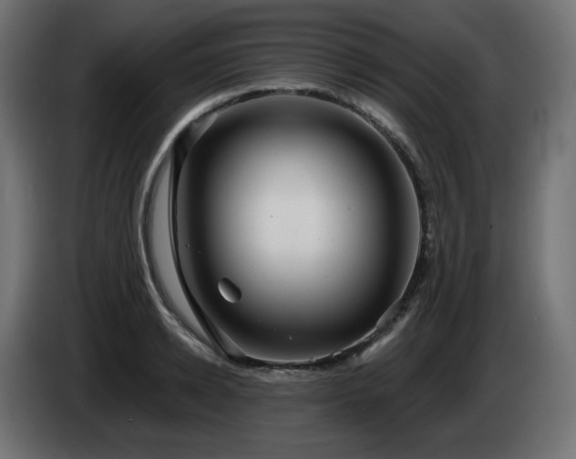 X0000085060942200703051436