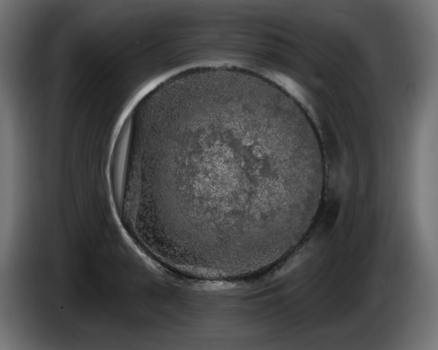 X0000085060943200703051436