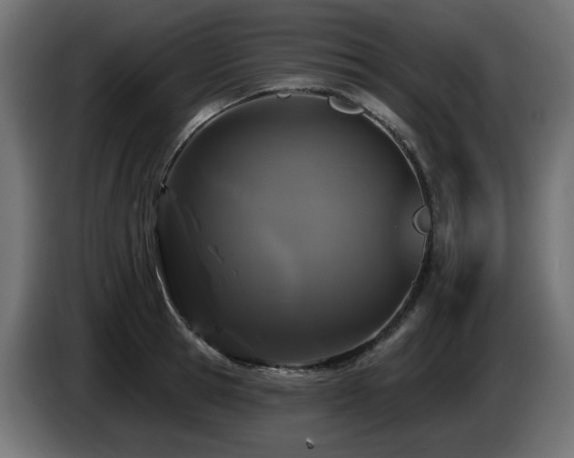 X0000085060945200703051436