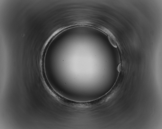 X0000085060947200703051436