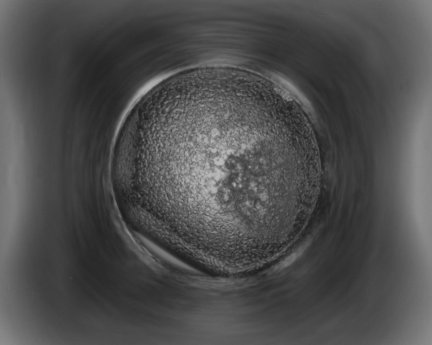 X0000085060948200703051436
