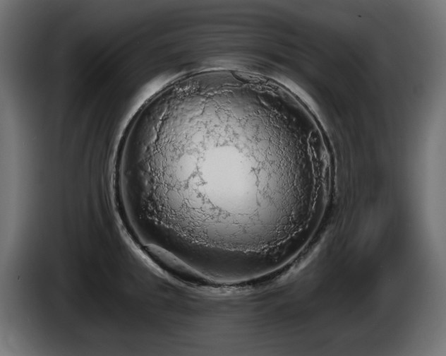 X0000085060949200703051436