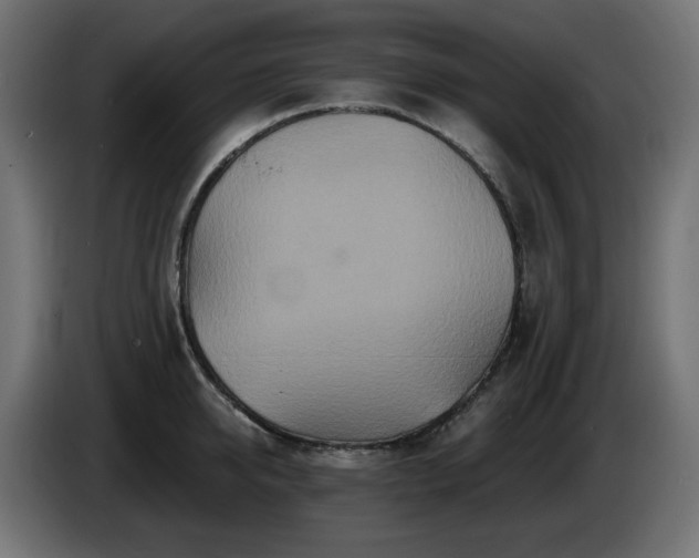 X0000085060950200703051436