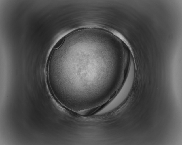 X0000085060951200703051436