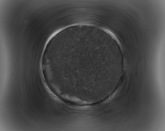 X0000085060952200703051436