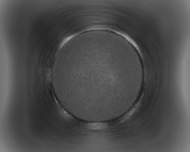 X0000085060953200703051436