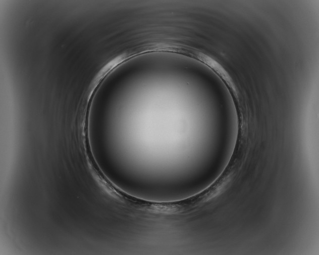X0000085060954200703051436
