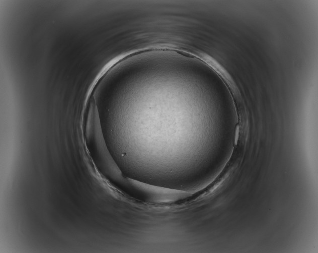 X0000085060956200703051436