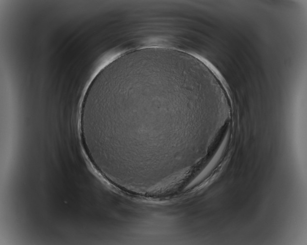 X0000085060957200703051436