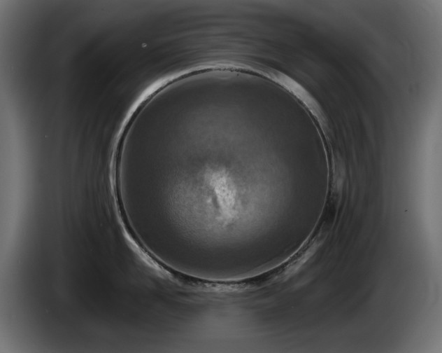 X0000085060958200703051436