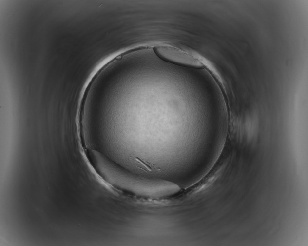X0000085060959200703051436