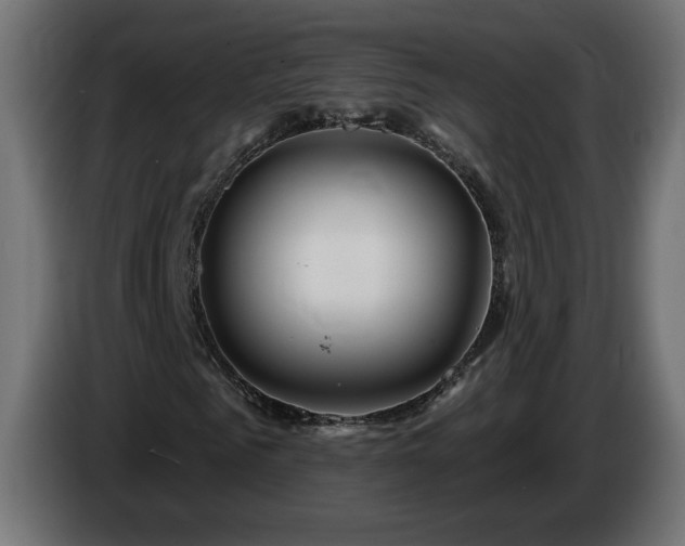 X0000085060961200703051435
