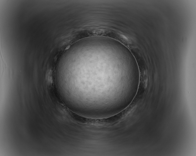 X0000085060962200703051435