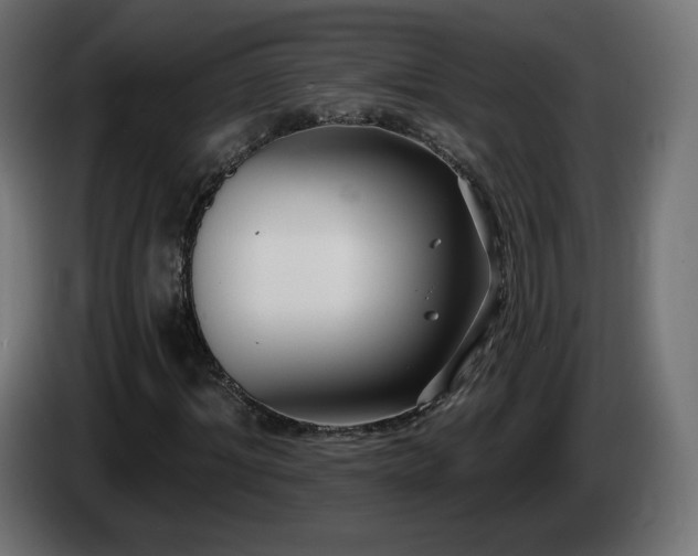 X0000085060964200703051435