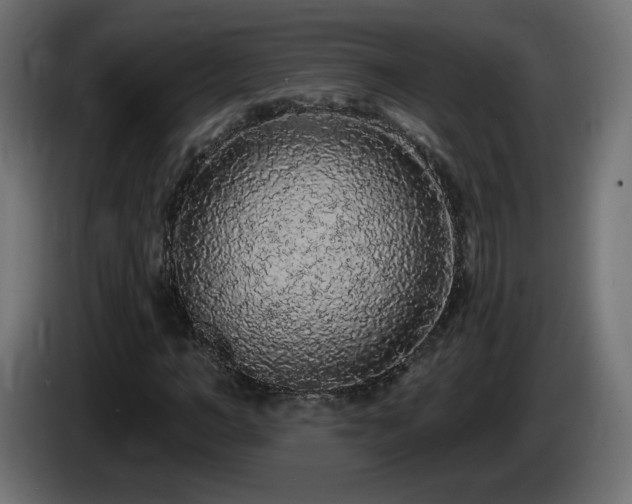 X0000085060966200703051435