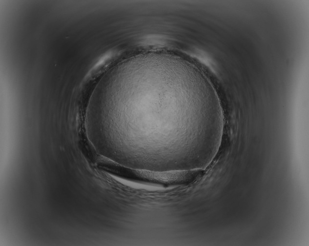 X0000085060967200703051435