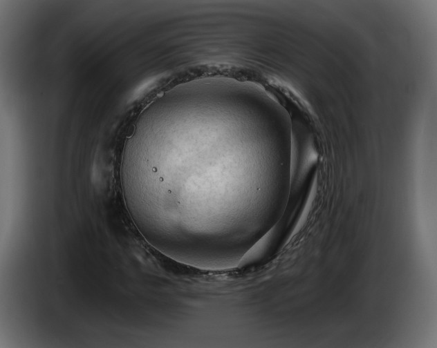 X0000085060968200703051435