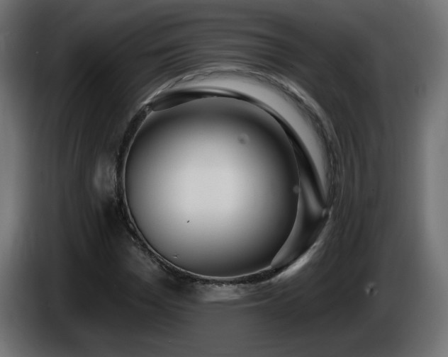 X0000085060969200703051435