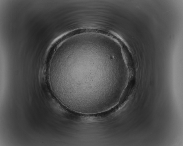 X0000085060971200703051435
