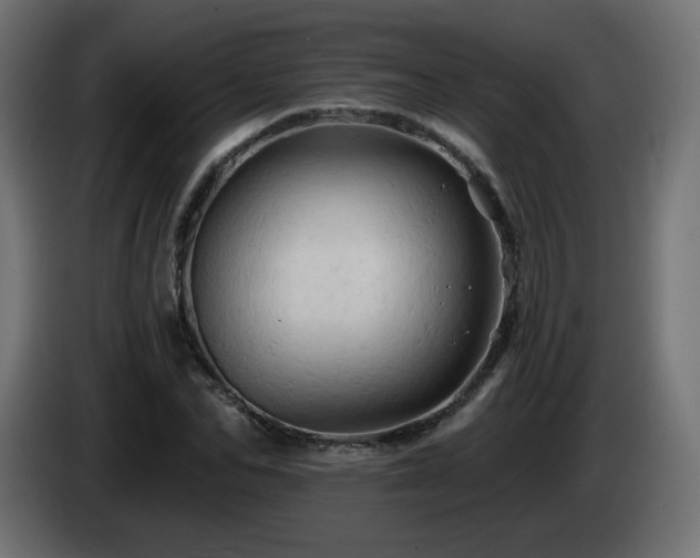 X0000085060974200703051435
