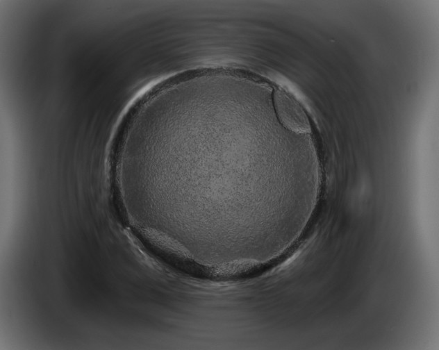 X0000085060975200703051435