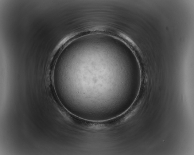 X0000085060978200703051435